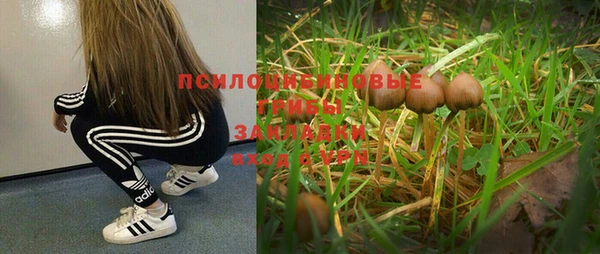 2c-b Балабаново
