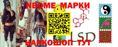 крисы Берёзовский