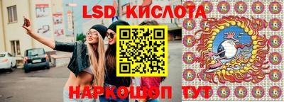 крисы Берёзовский