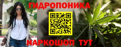 сатива Будённовск