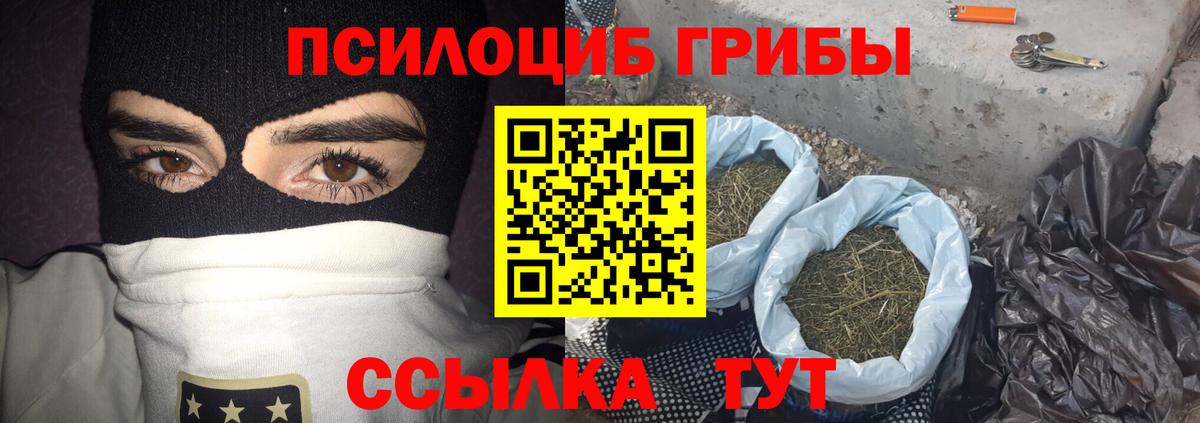 купить   Вход с VPN  Джанкой  Псилоцибиновые грибы MAGIC MUSHROOMS 